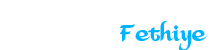 Paraşüt Fethiye Logo